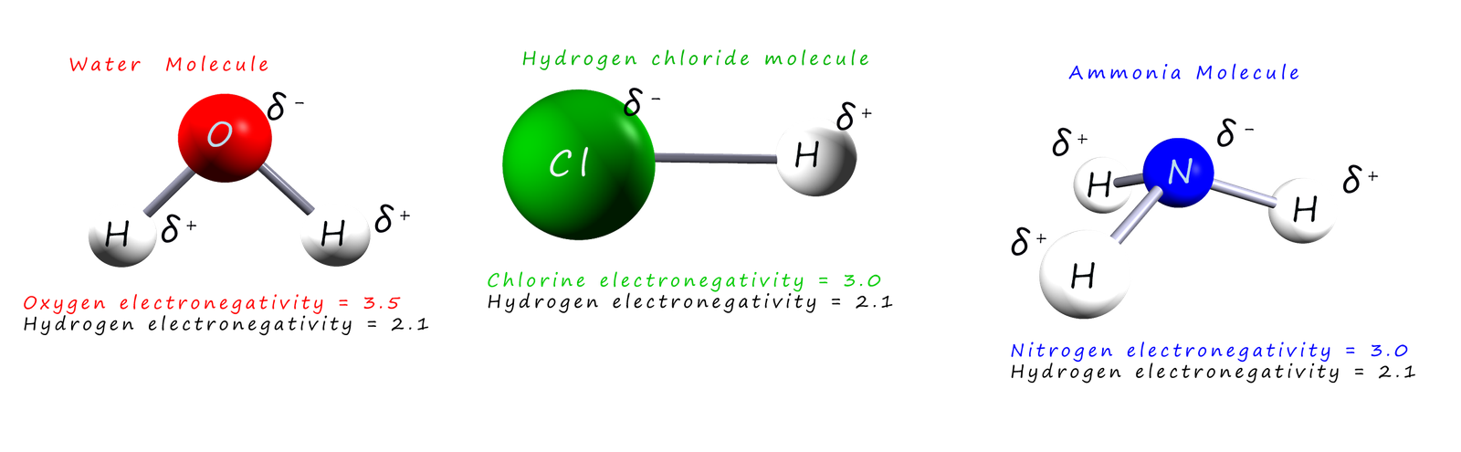Water, ammonia and hydrogen chloride molecules are all polar molecules with polar covalent bonds